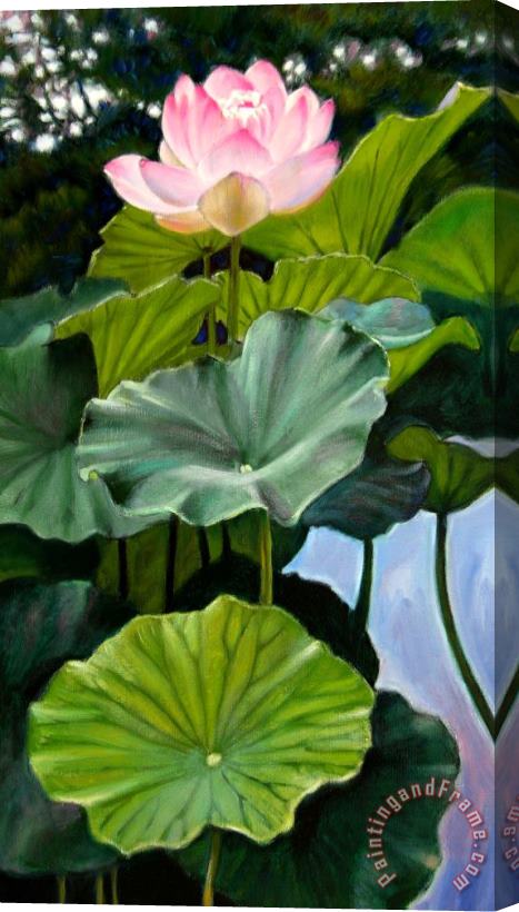 John Lautermilch Lotus Rising Stretched Canvas Painting / Canvas Art