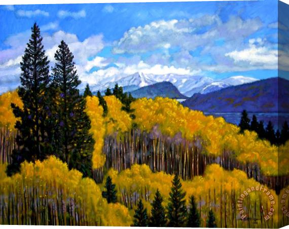 John Lautermilch Natures Patterns - Rocky Mountains Stretched Canvas Painting / Canvas Art