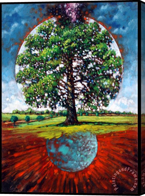 John Lautermilch Oak Roots Stretched Canvas Print / Canvas Art