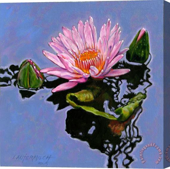 John Lautermilch Pink Lily with Dancing Reflections Stretched Canvas Painting / Canvas Art