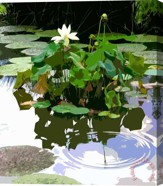 John Lautermilch Ripples on the Lotus Pond Stretched Canvas Painting / Canvas Art