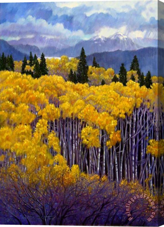 John Lautermilch Tall Aspens Stretched Canvas Painting / Canvas Art
