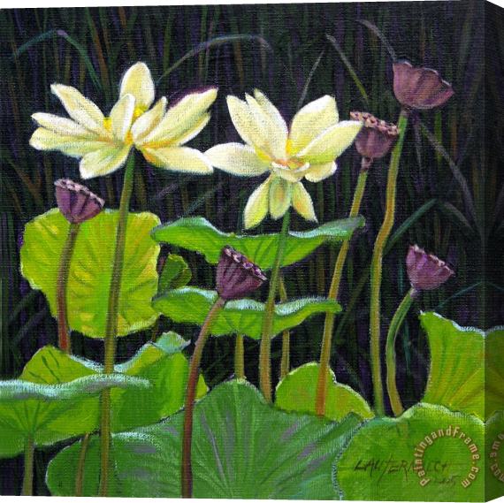 John Lautermilch Touching Lotus Blooms Stretched Canvas Painting / Canvas Art