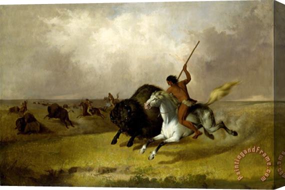 John Mix Stanley Buffalo Hunt on The Southwestern Prairies Stretched Canvas Painting / Canvas Art