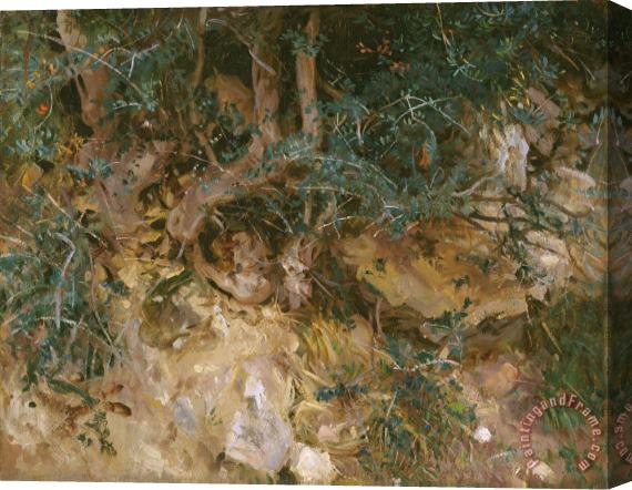 John Singer Sargent Valdemosa, Majorca: Thistles And Herbage on a Hillside Stretched Canvas Painting / Canvas Art