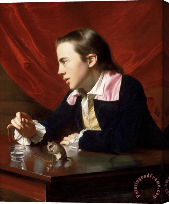 John Singleton Copley A Boy with a Flying Squirrel (henry Pelham) Stretched Canvas Painting / Canvas Art