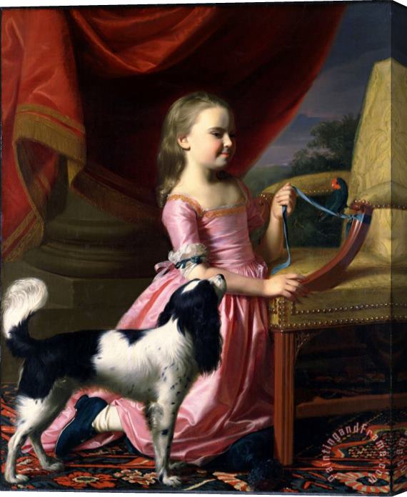 John Singleton Copley Young Lady with a Bird And a Dog Stretched Canvas Painting / Canvas Art