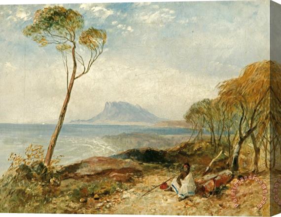 John Skinner Prout Maria Island From Little Swanport, Van Diemen's Land Stretched Canvas Print / Canvas Art