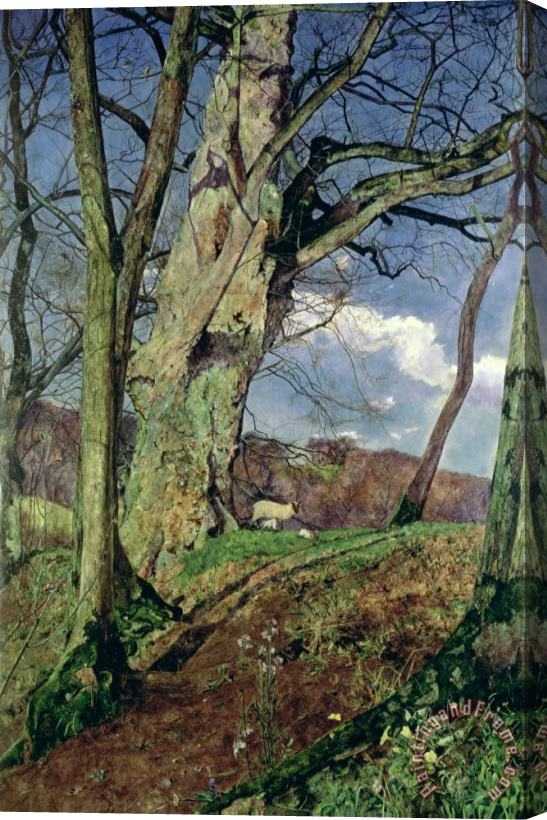 John William Inchbold In Early Spring Stretched Canvas Painting / Canvas Art