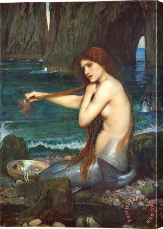 John William Waterhouse A Mermaid 1900 Stretched Canvas Print / Canvas Art