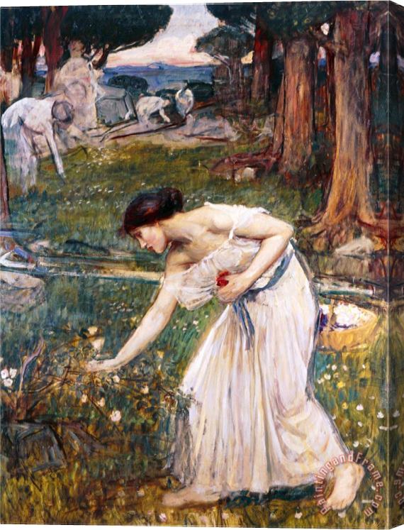 John William Waterhouse Gathering Rosebuds Stretched Canvas Painting / Canvas Art