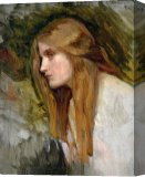 Stretched Canvas Print