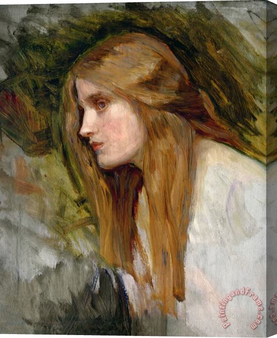 John William Waterhouse Head of a Girl Stretched Canvas Print / Canvas Art