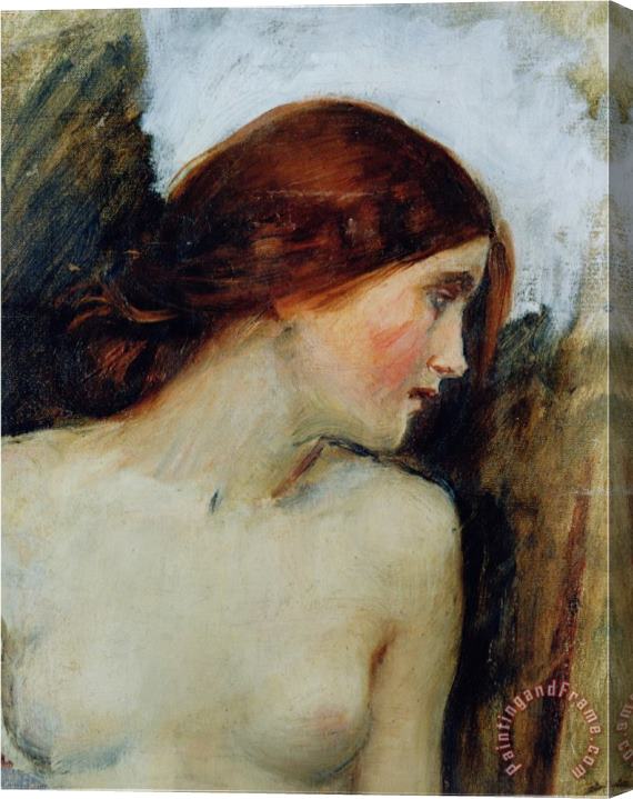 John William Waterhouse Study for The Head of Echo C 1903 Oil on Canvas See 55607 Stretched Canvas Painting / Canvas Art