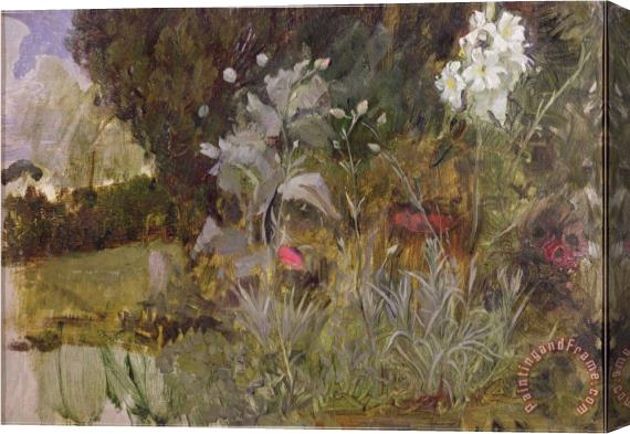 John William Waterhouse Study of Flowers And Foliage for The Enchanted Garden Oil on Canvas See 190595 Stretched Canvas Print / Canvas Art