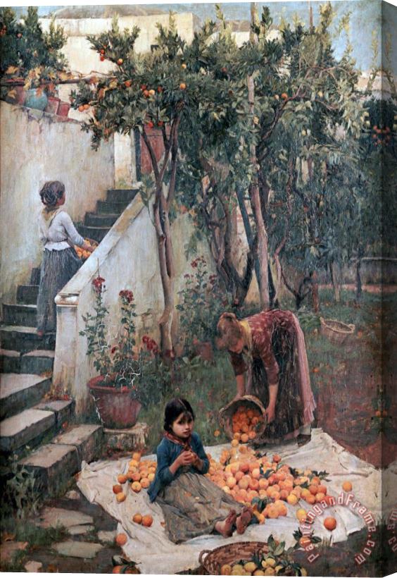 John William Waterhouse The Orange Gatherers Stretched Canvas Painting / Canvas Art