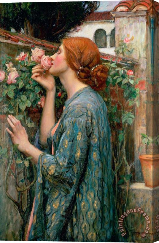John William Waterhouse The Soul of the Rose Stretched Canvas Print / Canvas Art