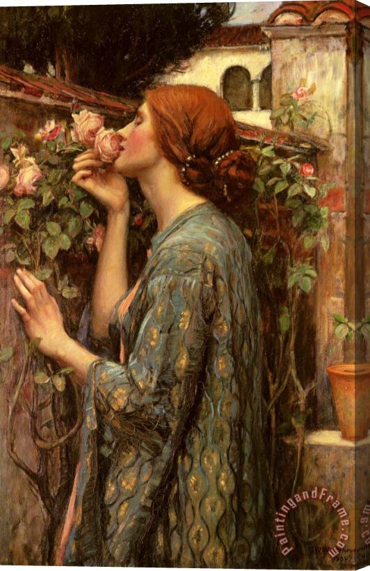 John William Waterhouse The Soul of The Rose Stretched Canvas Painting / Canvas Art