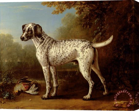 John Wootton Grey spotted hound Stretched Canvas Painting / Canvas Art