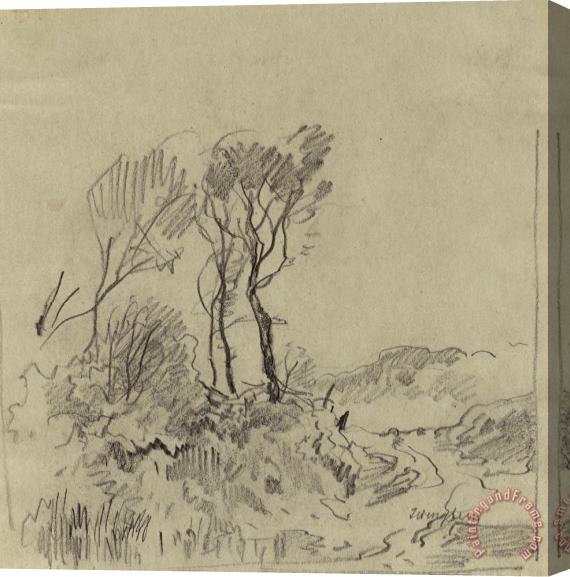 Josef Wenglein  Tree Studies Stretched Canvas Print / Canvas Art