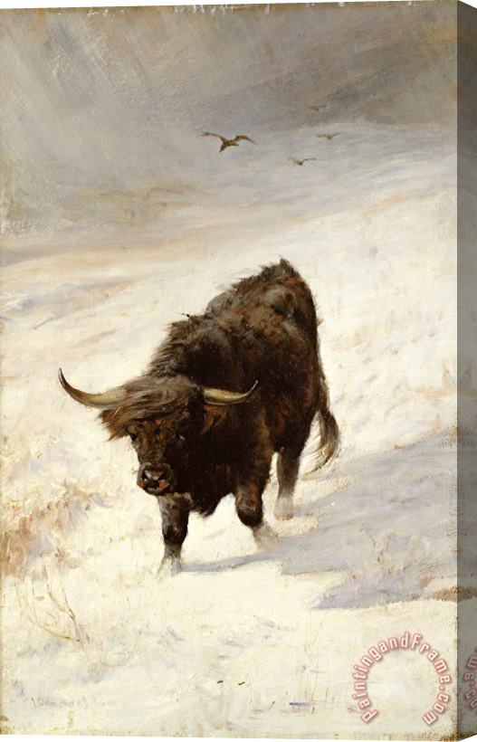 Joseph Denovan Adam Black Beast Wanderer Stretched Canvas Print / Canvas Art