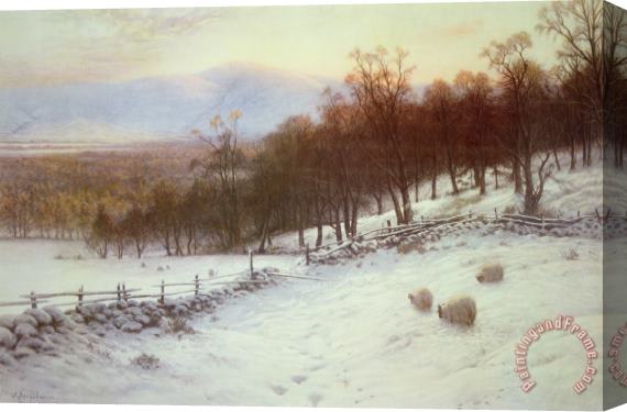 Joseph Farquharson Snow Covered Fields with Sheep Stretched Canvas Painting / Canvas Art