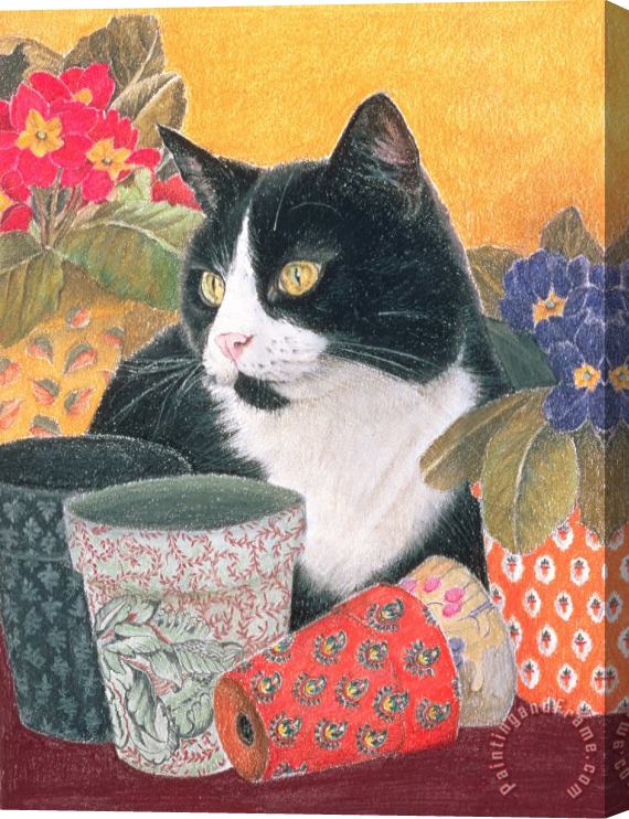 Judy Joel Bhajii And Flowerpots Stretched Canvas Print / Canvas Art