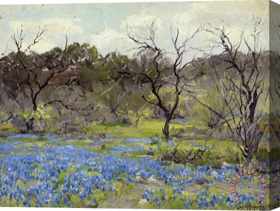Julian Onderdonk Early Spring Bluebonnets And Mesquite Stretched Canvas Painting / Canvas Art
