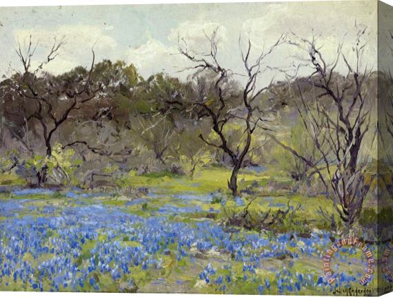 Julian Onderdonk Early Spring鈥攂luebonnets And Mesquite Stretched Canvas Painting / Canvas Art