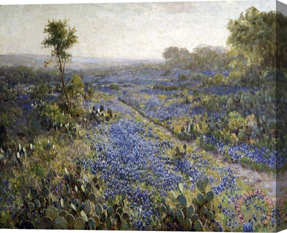 Julian Onderdonk Field of Texas Bluebonnets And Prickly Pear Cacti Stretched Canvas Print / Canvas Art