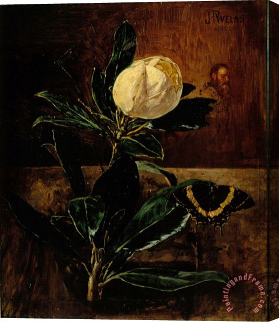 Julio Ruelas The Magnolia Stretched Canvas Print / Canvas Art