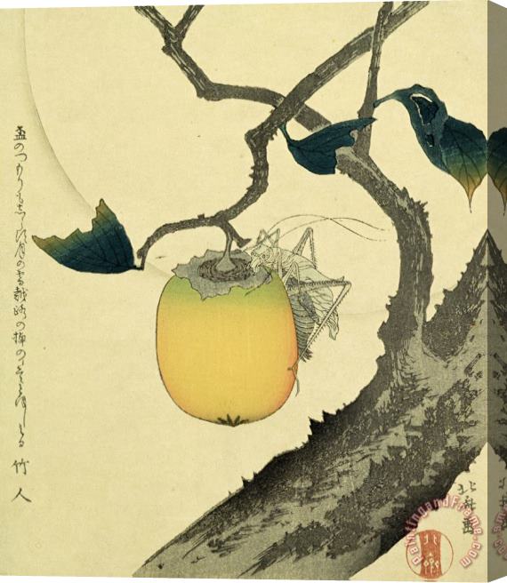 Katsushika Hokusai Moon Persimmon And Grasshopper Stretched Canvas Print / Canvas Art