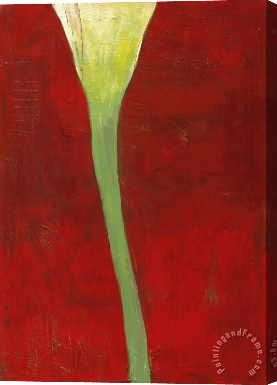 Laura Gunn Calla Lily on Deep Red II Stretched Canvas Print / Canvas Art