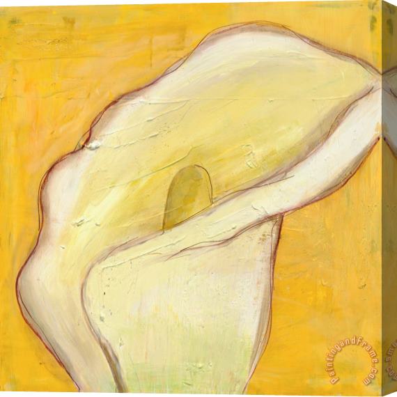 Laura Gunn Calla Lily on Gold I Stretched Canvas Painting / Canvas Art