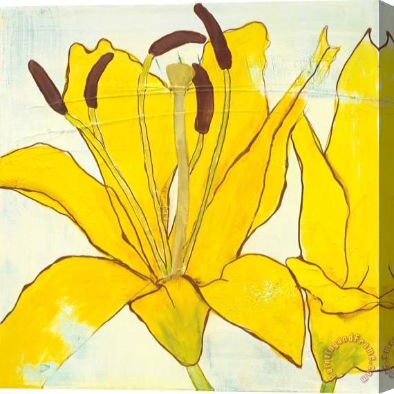 Laura Gunn Lily Suite III Stretched Canvas Painting / Canvas Art
