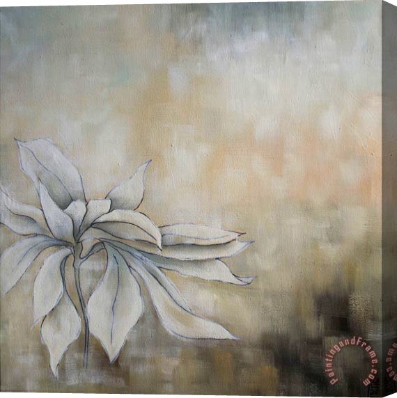 laurie maitland White Flowers I Stretched Canvas Painting / Canvas Art