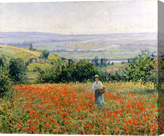 Leon Giran Max Woman in a Poppy Field Stretched Canvas Print / Canvas Art