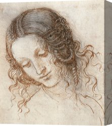 Drawing Canvas Prints - Leonardo Head Of Woman Drawing by Leonardo da Vinci