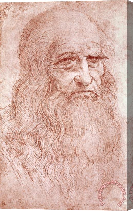 Leonardo da Vinci Portrait Of A Bearded Man Stretched Canvas Painting / Canvas Art