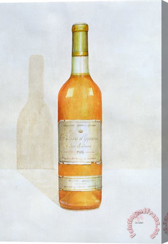 Lincoln Seligman Chateau D Yquem Stretched Canvas Print / Canvas Art