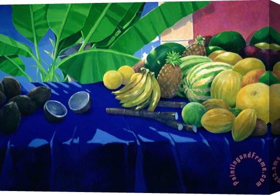 Lincoln Seligman Tropical Fruit Stretched Canvas Painting / Canvas Art