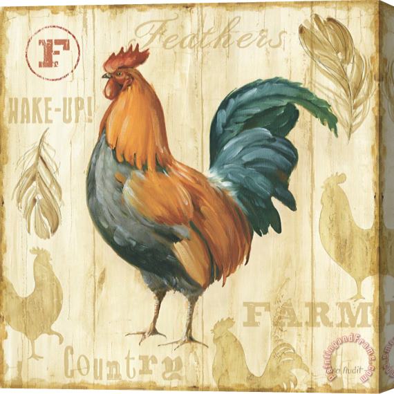 Lisa Audit Joli Rooster II Stretched Canvas Print / Canvas Art