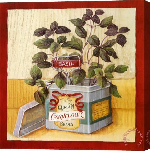 Lisa Audit Kitchen Herbs Basil Stretched Canvas Print / Canvas Art