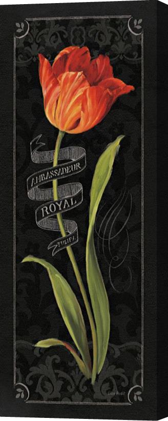 Lisa Audit Tulipa Botanica II Stretched Canvas Print / Canvas Art