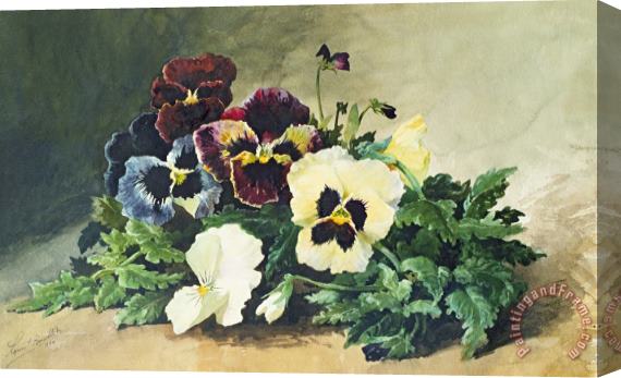 Louis Bombled Winter Pansies Stretched Canvas Painting / Canvas Art
