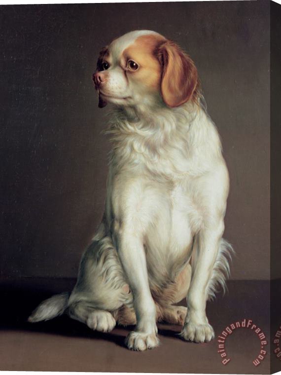 Louis Leopold Boilly Portrait Of A King Charles Spaniel Stretched Canvas Painting / Canvas Art
