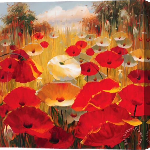 Lucas Santini Meadow Poppies III Stretched Canvas Painting / Canvas Art