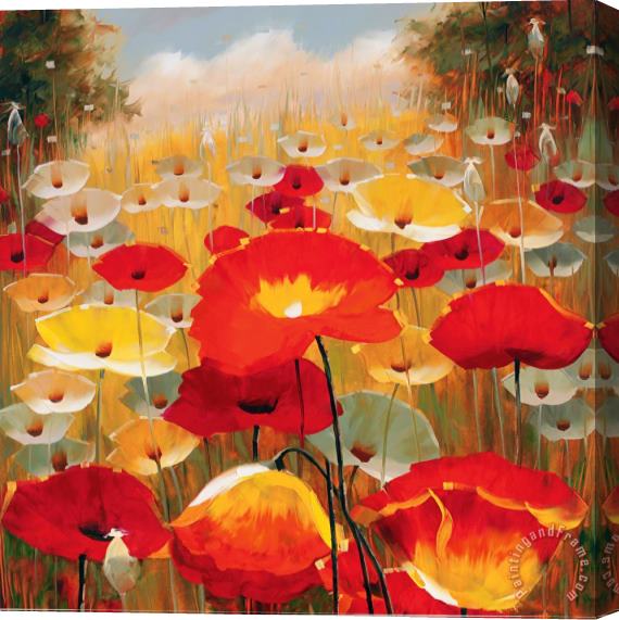 Lucas Santini Meadow Poppies Iv Stretched Canvas Painting / Canvas Art