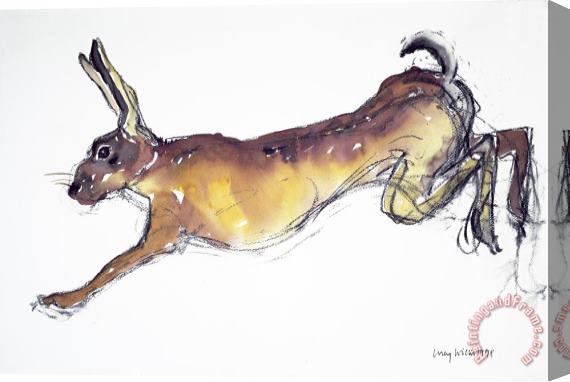 Lucy Willis Jumping Hare Stretched Canvas Print / Canvas Art