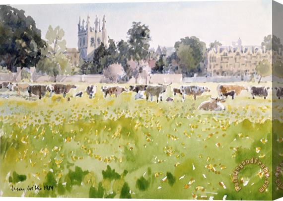 Lucy Willis Looking Across Christ Church Meadows Stretched Canvas Print / Canvas Art